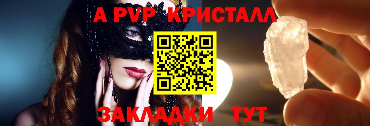 Курчалой  A PVP крисы CK  A PVP  Вход с VPN  Alpha PVP СК 
