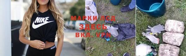 дживик Новозыбков