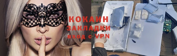 дживик Новозыбков