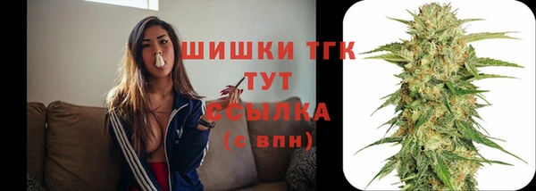 МДПВ Ветлуга