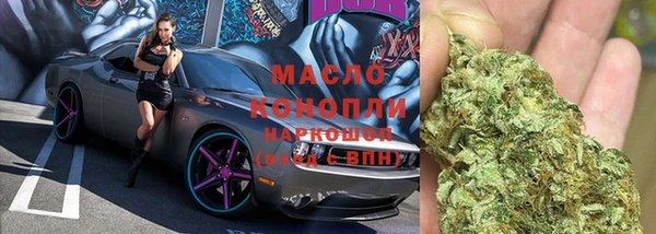 дживик Новозыбков