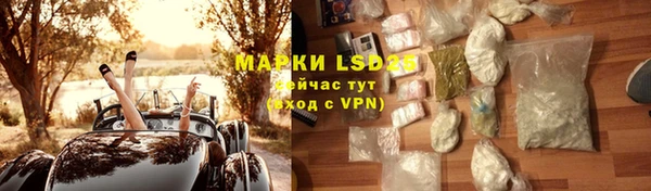 дживик Новозыбков