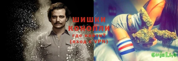 дживик Новозыбков