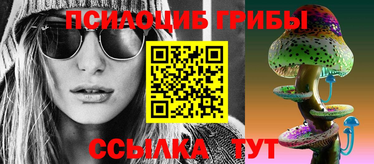 Курчалой  Псилоцибиновые грибы ЛСД  наркота  Галлюциногенные грибы Magic Shrooms  Вход с VPN 