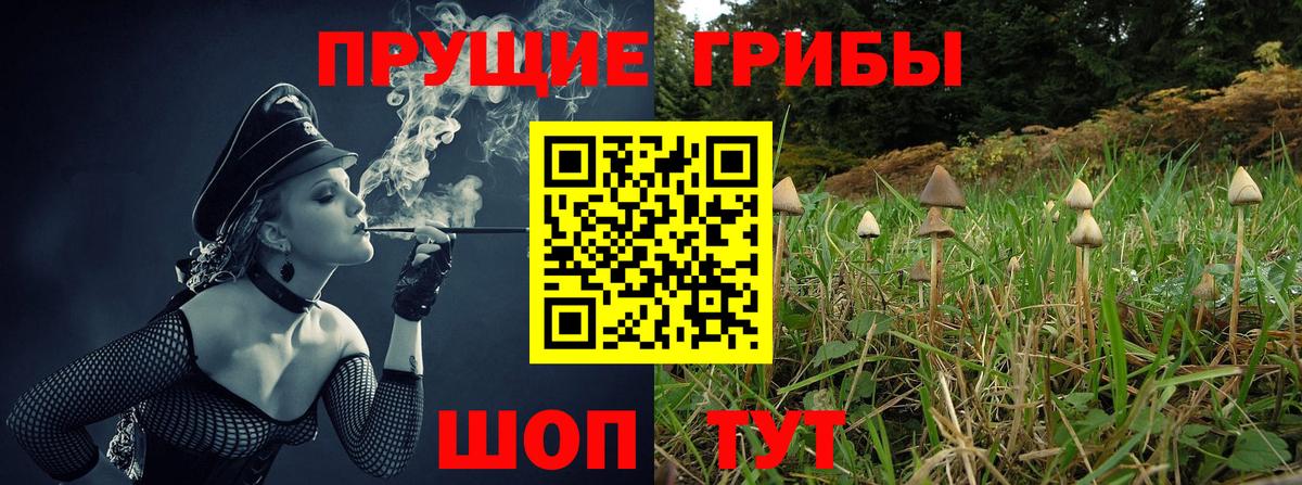 Псилоцибиновые грибы мухоморы Курчалой