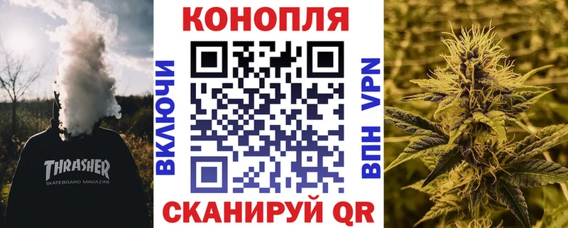 что такое Курчалой Бошки марихуана THC 21%