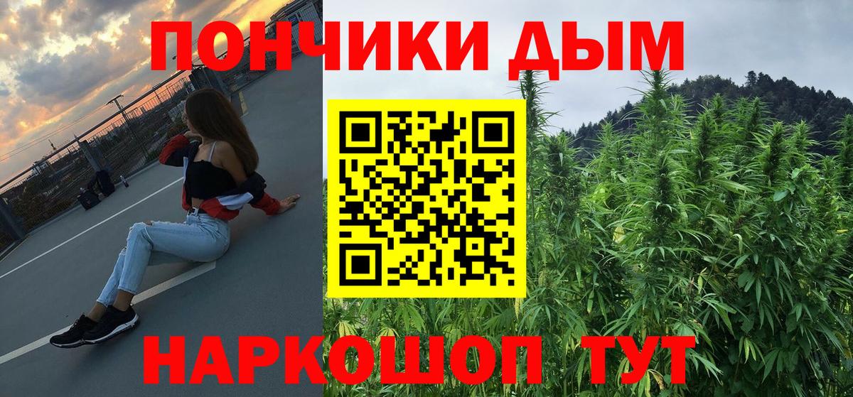 Шишки марихуана план  Вход с VPN  Курчалой  МАРИХУАНА тримм  Шишки марихуана THC 21%  Конопля тримм 